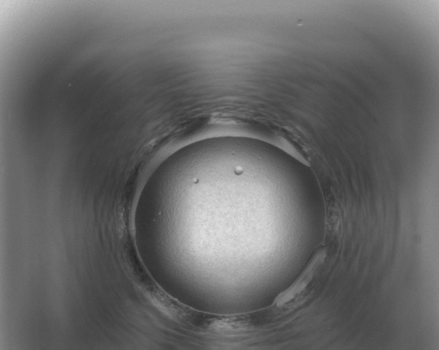 X0000067510568200604150136