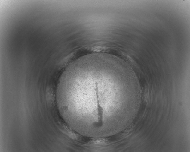 X0000067510569200604150136