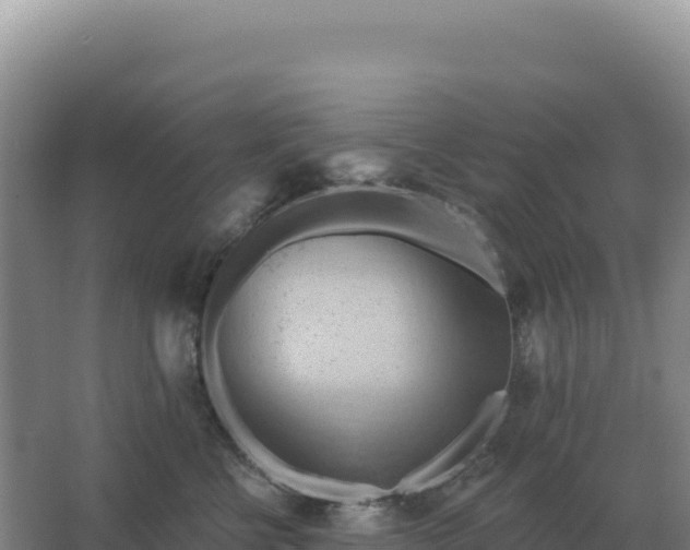 X0000067510570200604150136