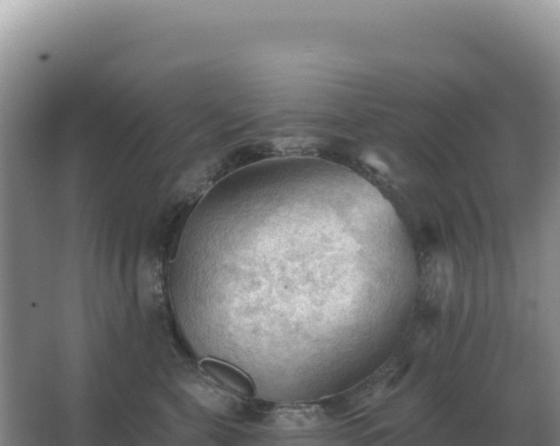 X0000067510571200604150136