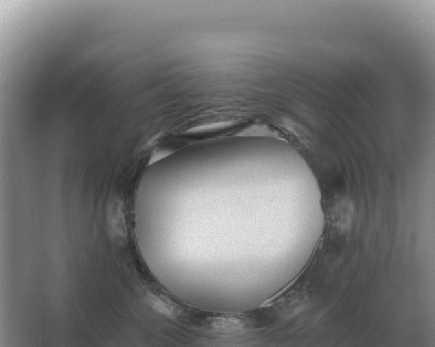 X0000067510572200604150136