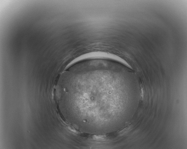 X0000067510573200604150136