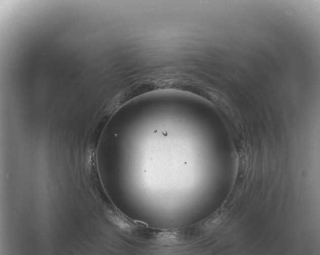 X0000067510574200604150136