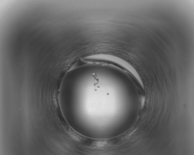 X0000067510575200604150136