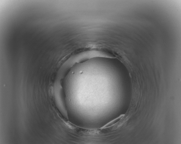 X0000067510576200604150136