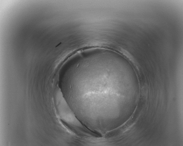 X0000067510577200604150136