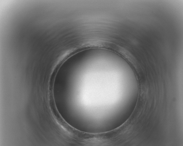 X0000067510578200604150136