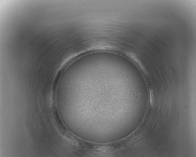 X0000067510579200604150136