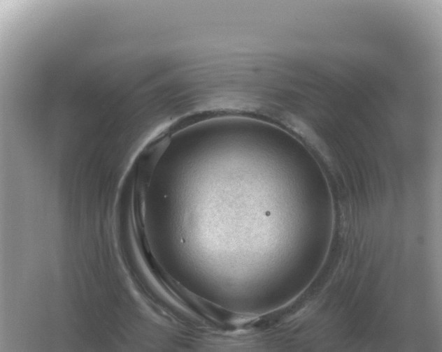 X0000067510580200604150136