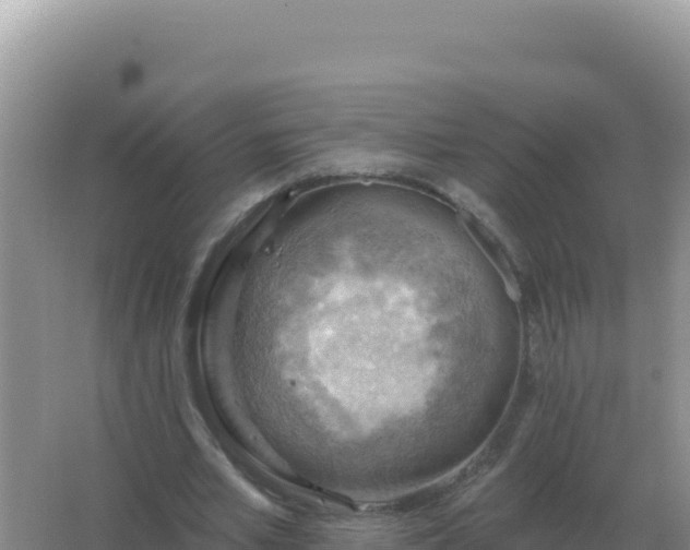 X0000067510581200604150135