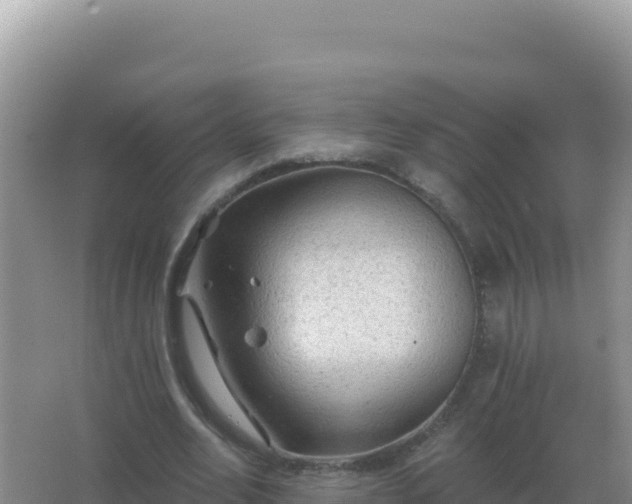 X0000067510582200604150135