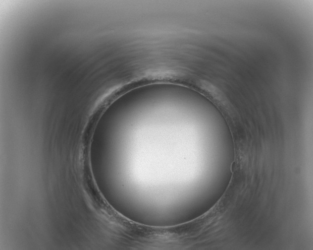 X0000067510583200604150135