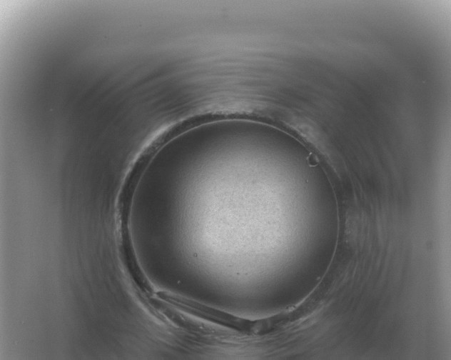 X0000067510584200604150135