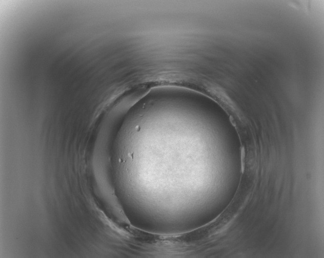 X0000067510585200604150135