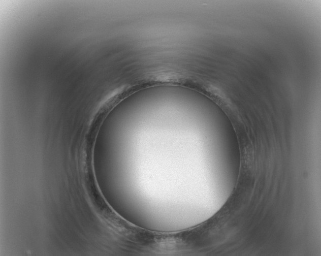 X0000067510587200604150135