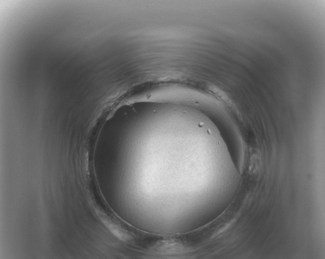 X0000067510589200604150135