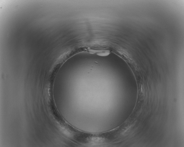 X0000067510590200604150135