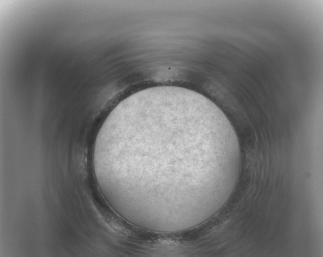 X0000067510592200604150135