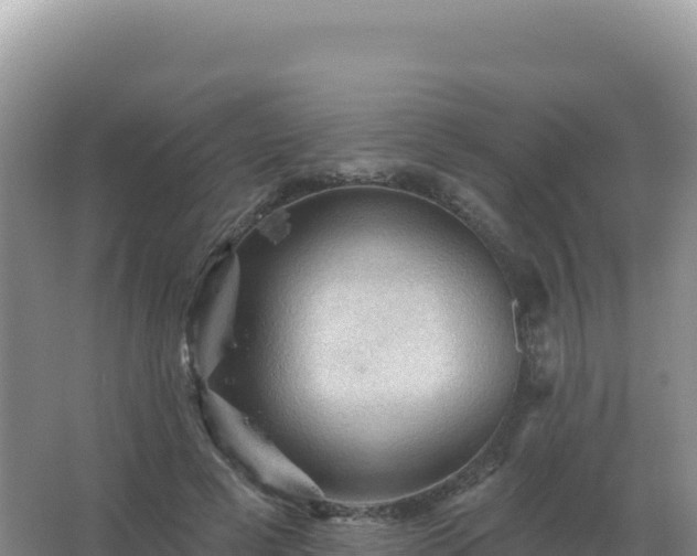 X0000067510593200604150135