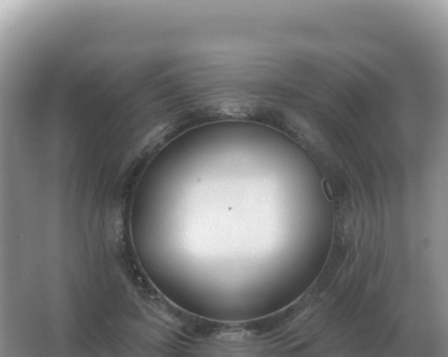 X0000067510595200604150135