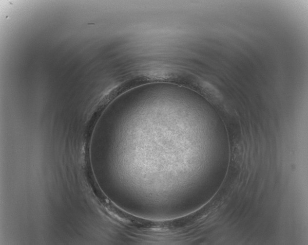 X0000067510596200604150135