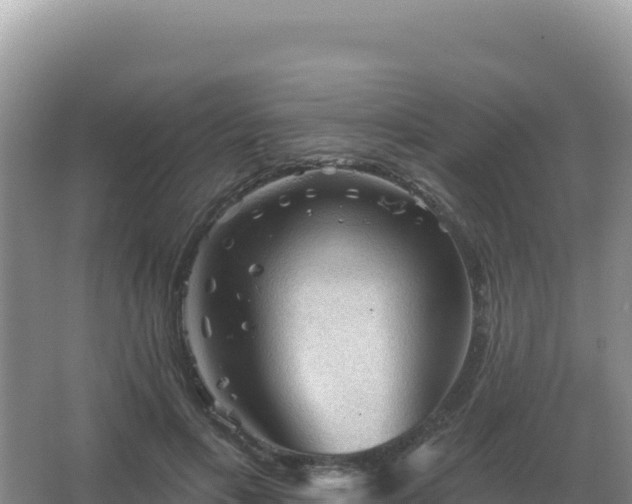 X0000067510597200604150135