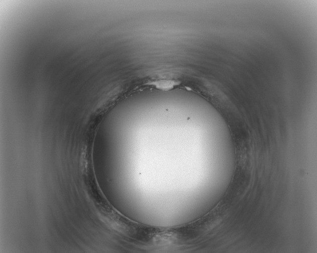 X0000067510599200604150135