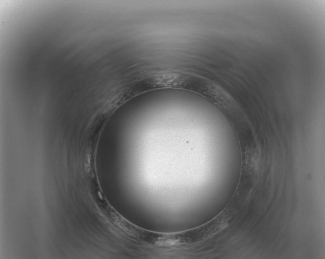 X0000067510602200604150135