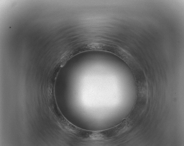 X0000067510603200604150135