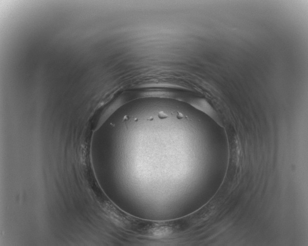 X0000067510604200604150135