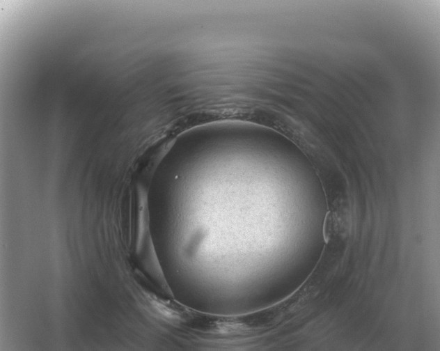 X0000067510605200604150135