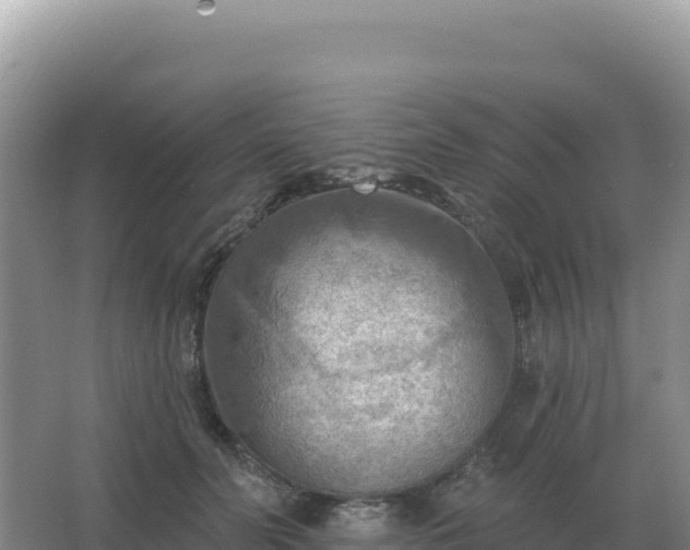 X0000067510606200604150135