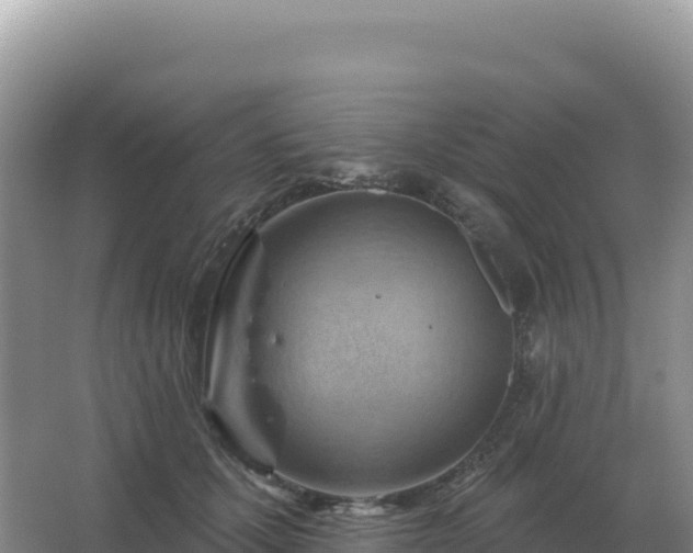 X0000067510607200604150135