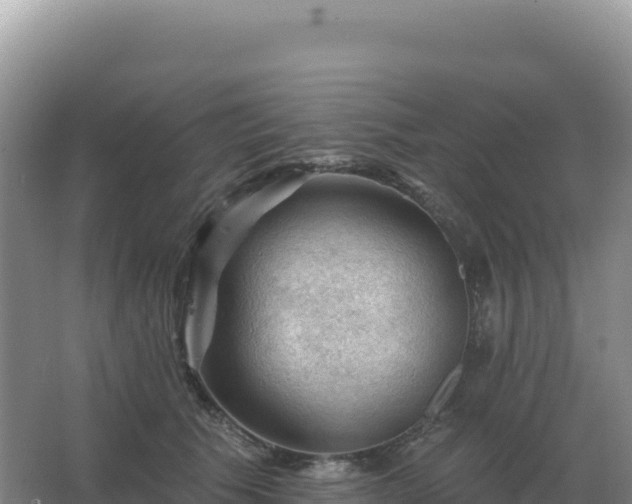 X0000067510609200604150135