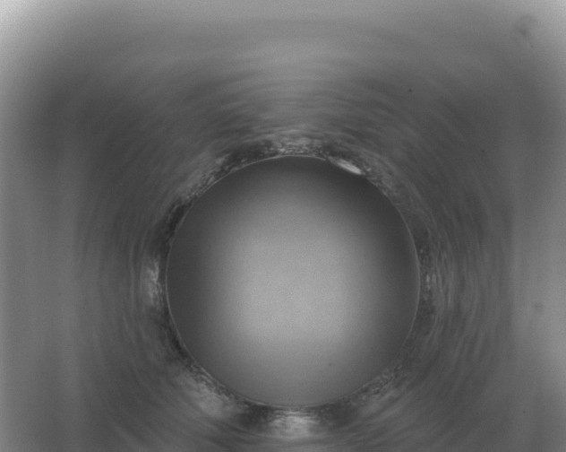 X0000067510610200604150135