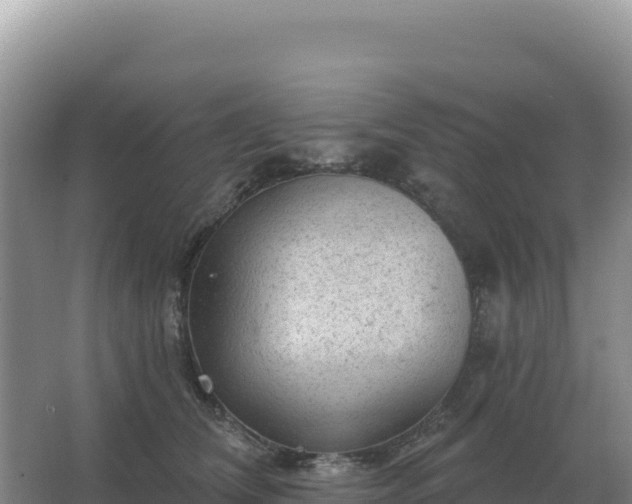 X0000067510612200604150135