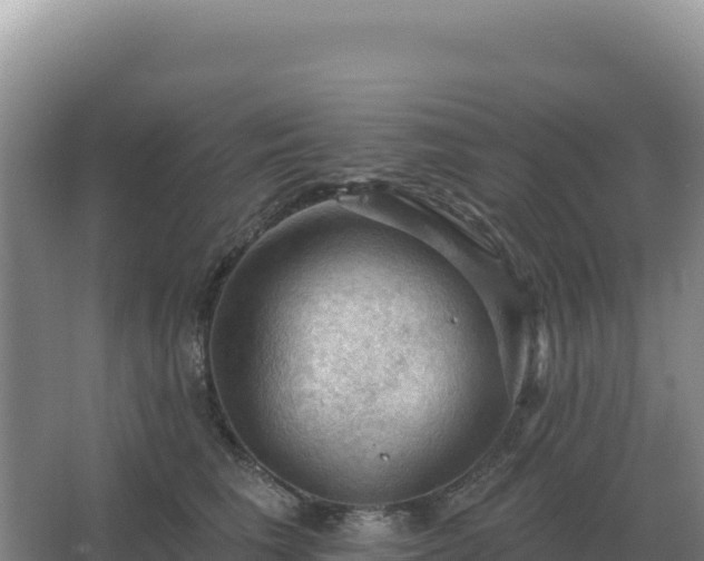 X0000067510613200604150135