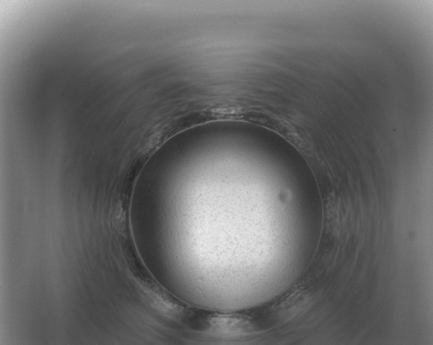 X0000067510614200604150135