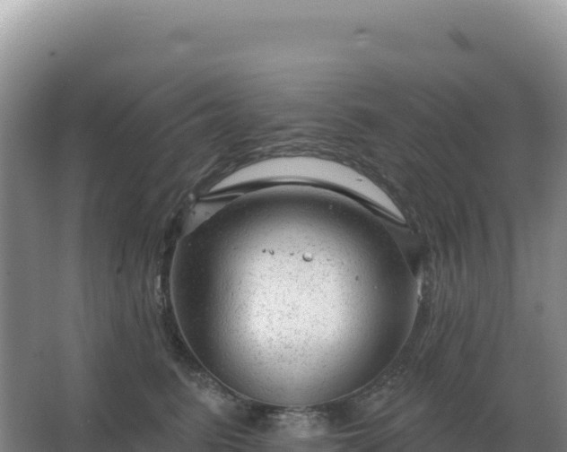 X0000067510615200604150135