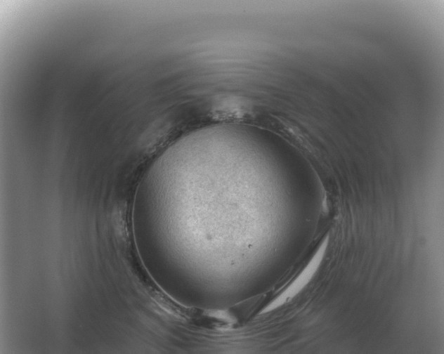 X0000067510616200604150135