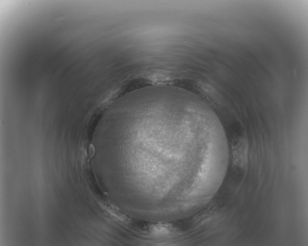 X0000067510618200604150135