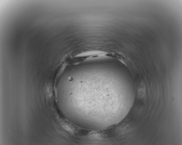 X0000067510620200604150135