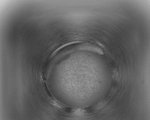 X0000067510621200604150135