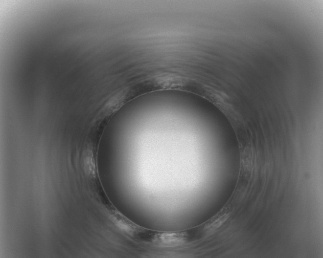 X0000067510622200604150135