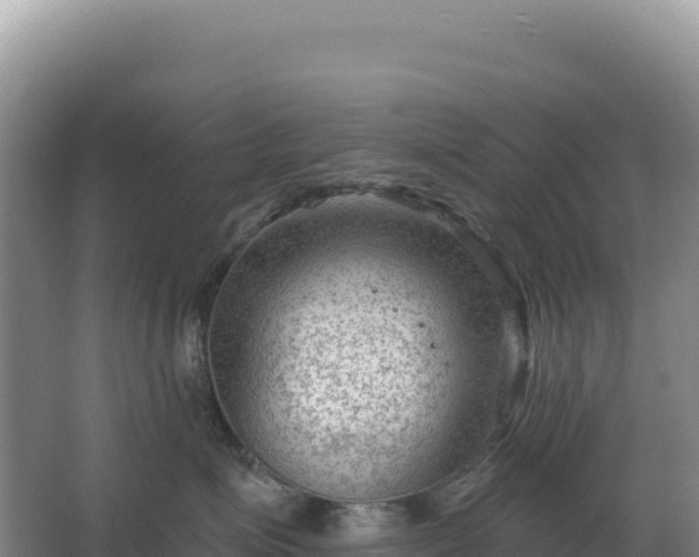 X0000067510623200604150135