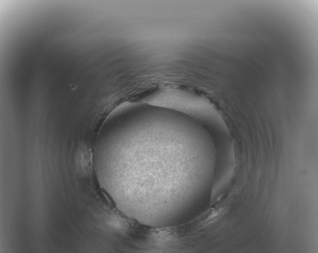 X0000067510624200604150135