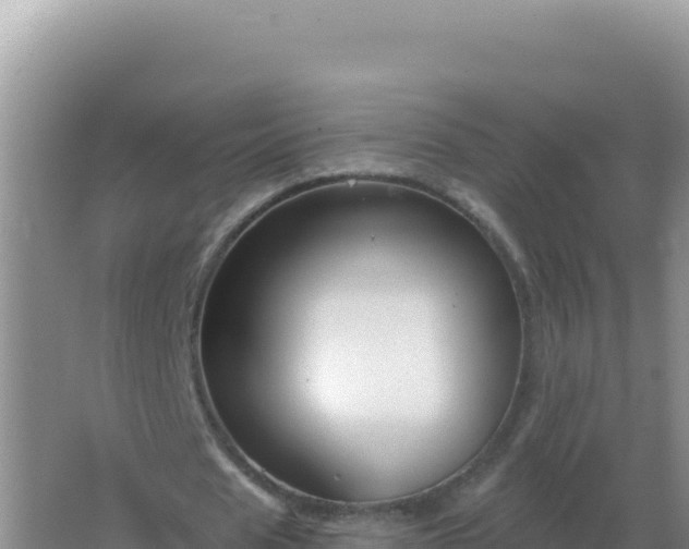 X0000067510625200604150134