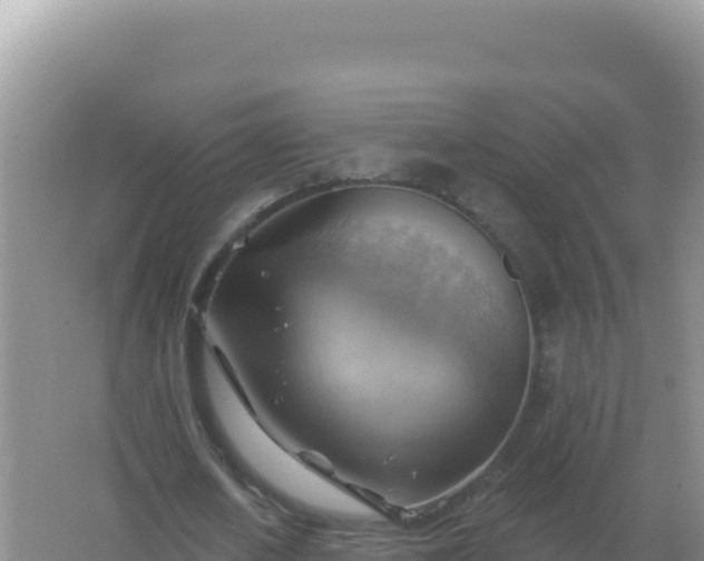 X0000067510626200604150134