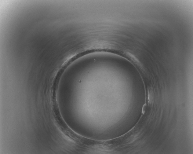 X0000067510627200604150134