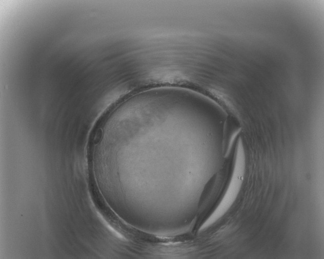 X0000067510630200604150134